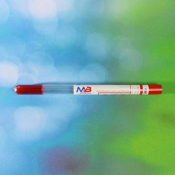 XLD AGAR